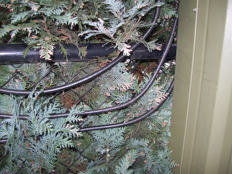 3 x coax bijna onzichtbaar door de coniferen